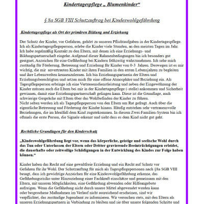 Schutzkonzept Seite 1 Schutzkonzept Seite 1