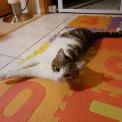 Yuki