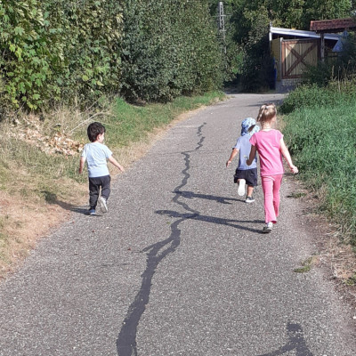 Spaziergang ins Feld
