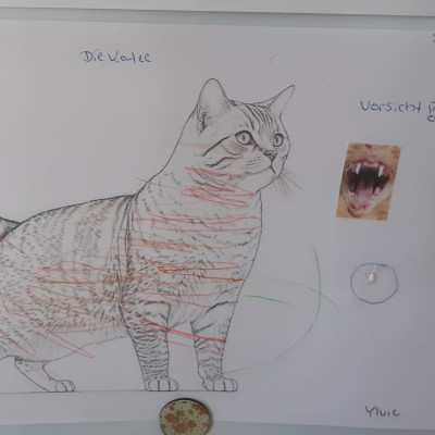 Vorsicht sie hat spitze Krallen!